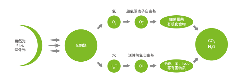 甲醛治理加盟