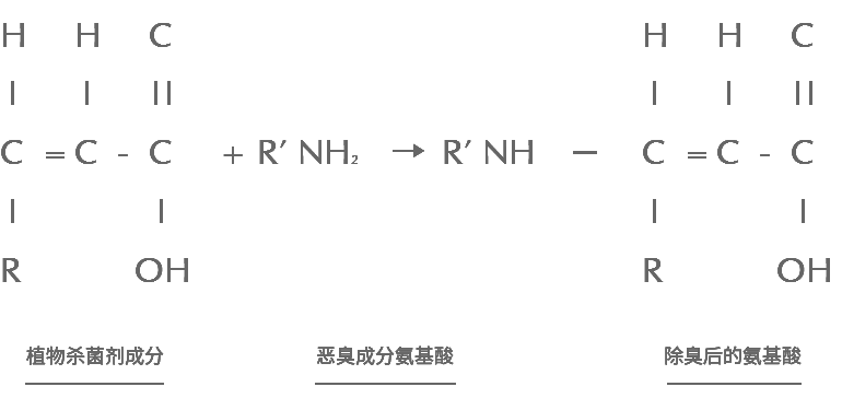 专业除甲醛